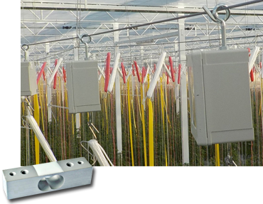 Wireless Value uses Zemic miniature sensors for weight measurement for fruit and vegetables