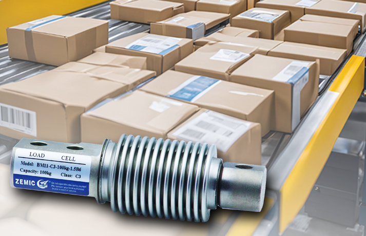 Wägezellen von Zemic in DWS-Systemen