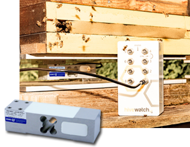 Innovativer Bienenstock mit Zemic Single-Point-Wägezelle