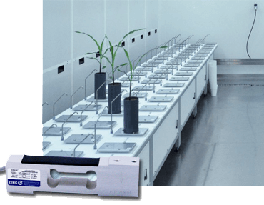 Phenospex erfasst mit L6N Verdunstung von Pflanzen bei allen Bedingung